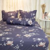  Ga Bọc Cotton Vanila 259 