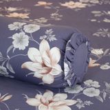  Ga Bọc Cotton Vanila 259 