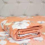  Chăn Lẻ Cotton Satin Deluxe 20 