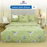  Vỏ Gối Lẻ Cotton Satin Deluxe 21 