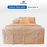  Bộ Ga Bọc Cotton Thêu Chân Màu Kem Sữa (11) 