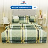  Bộ Chăn Ga Gối 4 món, 5 món - 100% Cotton Satin Deluxe mềm mại, thoáng mát - KẺ SỌC, KẺ CARO - THANH THUY 
