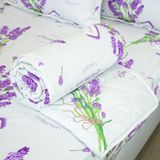  Bộ Ga Bọc (Hộp) Vanila (Vỏ Gối Nhí) 440 