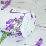  Bộ Ga Bọc (Hộp) Vanila (Vỏ Gối Nhí) 440 