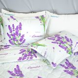  Bộ Ga Bọc (Hộp) Vanila (Vỏ Gối Nhí) 440 