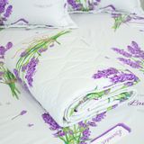  Bộ Ga Bọc (Hộp) Vanila (Vỏ Gối Nhí) 440 