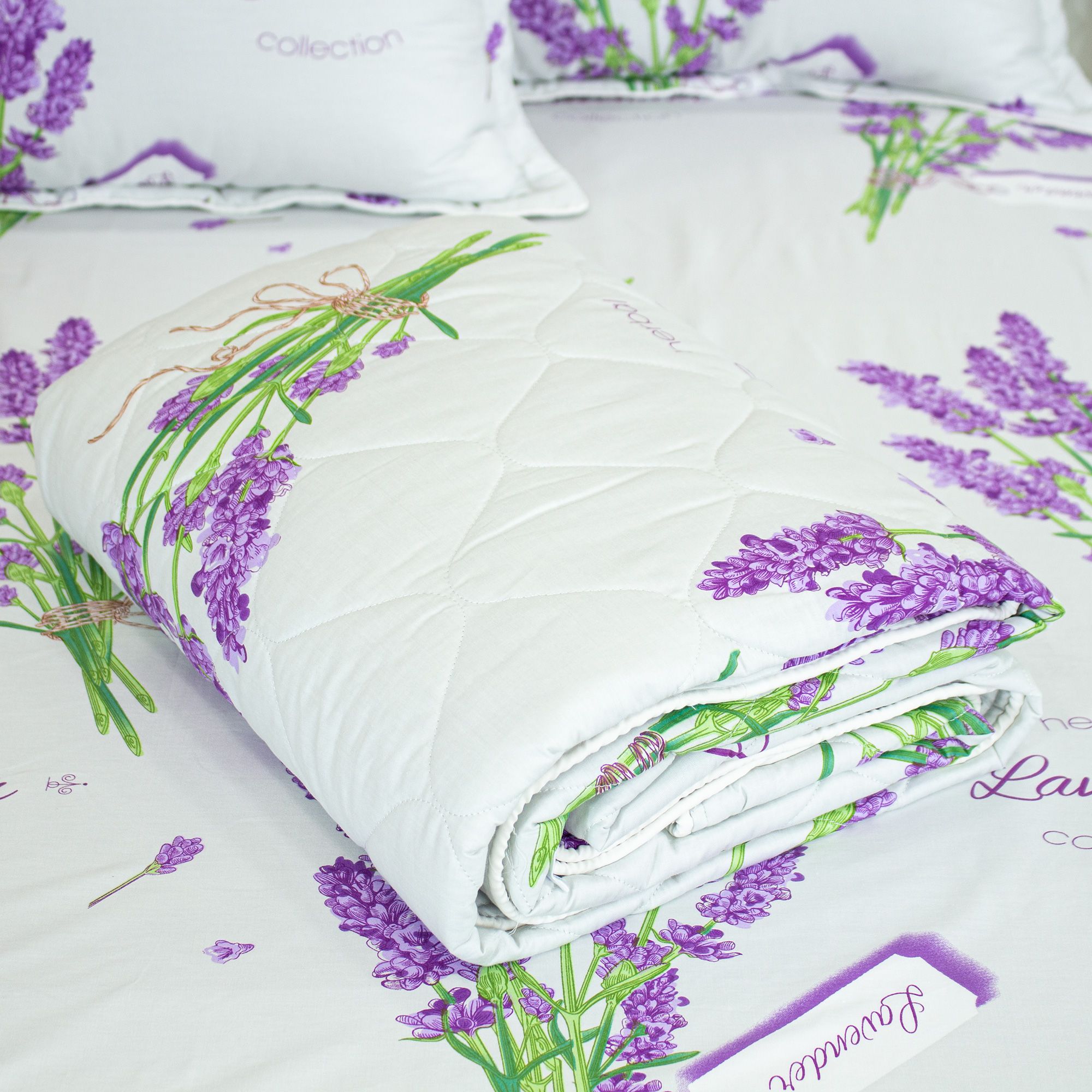  Bộ Ga Bọc (Hộp) Vanila (Vỏ Gối Nhí) 440 