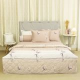  Bộ Ga Bọc (Hộp) Vanila (Vỏ Gối Nhí) 450 