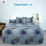  Vỏ Gối Lẻ Cotton Vanila 58 