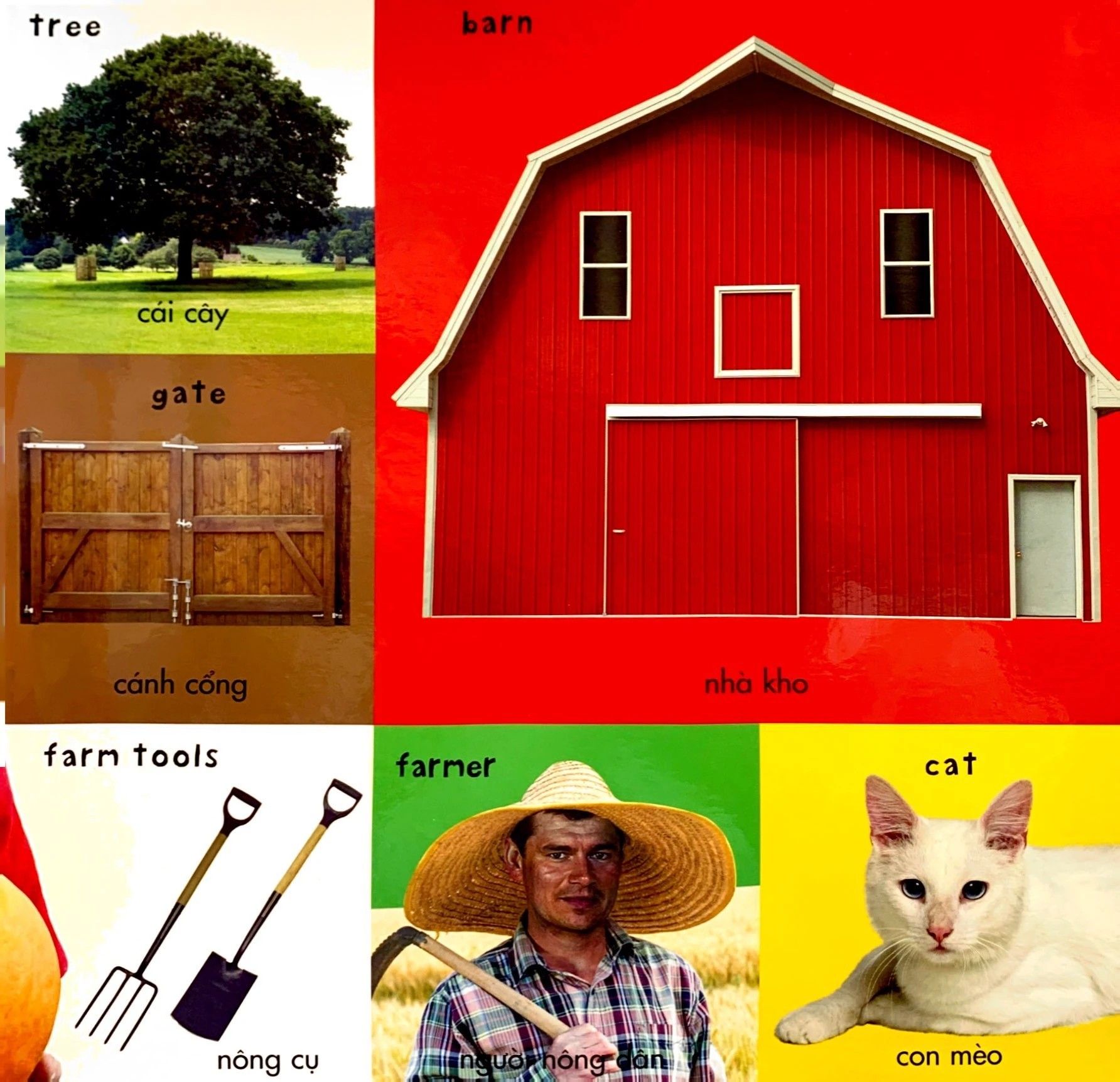  Sách 100 Từ Vựng Đầu tiên Về Trang Trại 