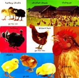  Sách 100 Từ Vựng Đầu tiên Về Trang Trại 