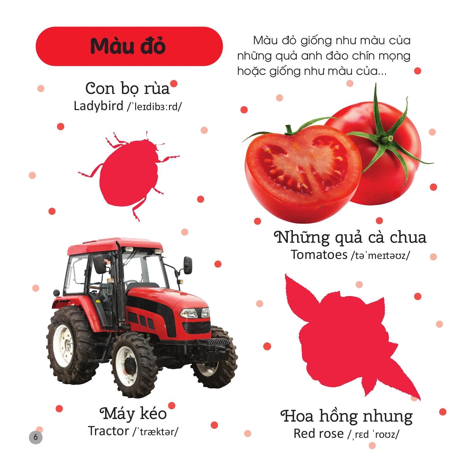  Sách Bóc Dán Phát Triển Ngôn Ngữ Và Nhận Biết - Màu Sắc 