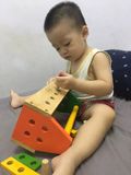 Đồ chơi gỗ tư duy cao cấp Đồ nghề sửa chữa Winwintoys 