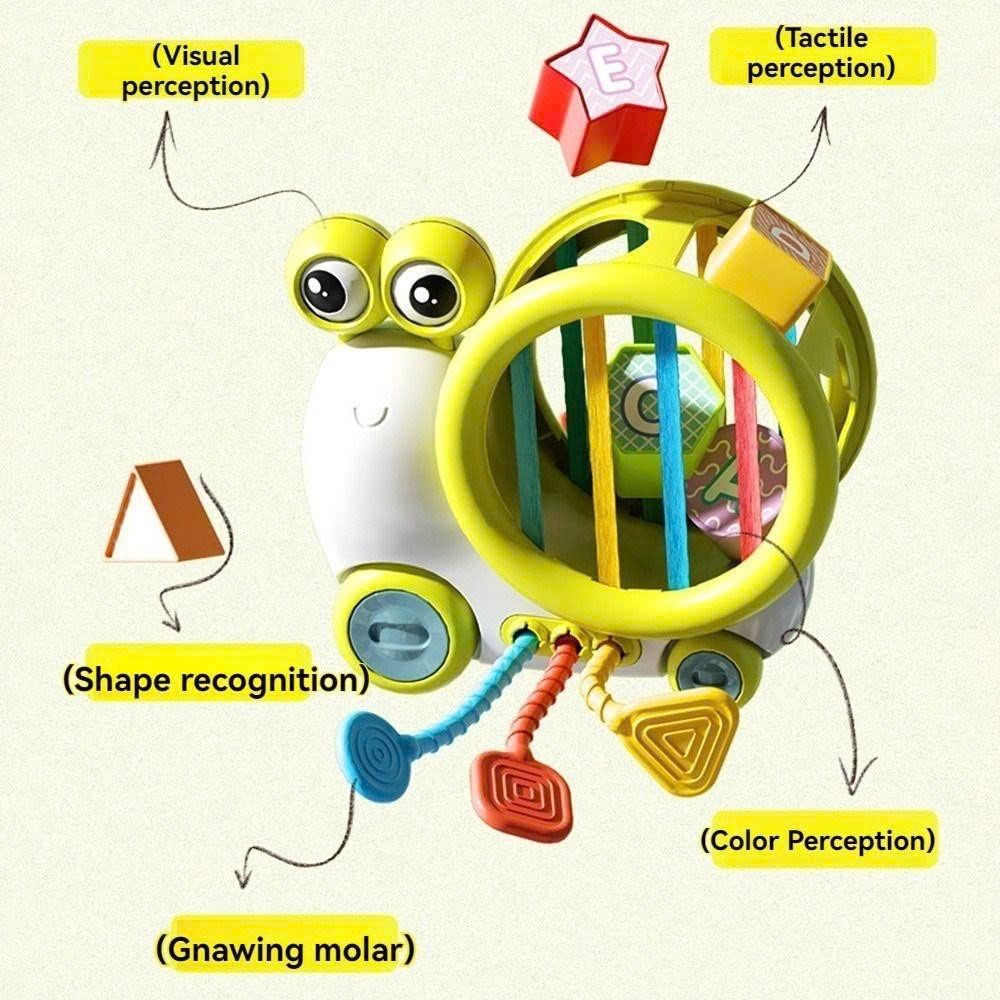 Đồ chơi Ốc sên rút dây thả hình khối 3 trong 1 