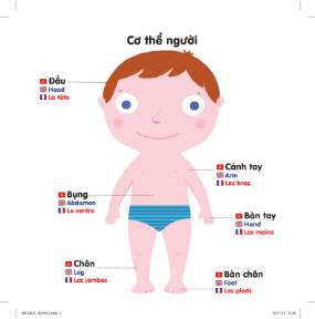  Sách Chuyển Động Thông Minh Đa Ngữ Việt - Anh - Pháp: Cơ Thể Người - The Body 