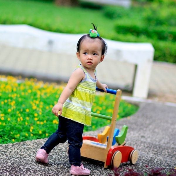  Xe tập đi con gà bằng gỗ cao su cao cấp 44cm Winwintoys 