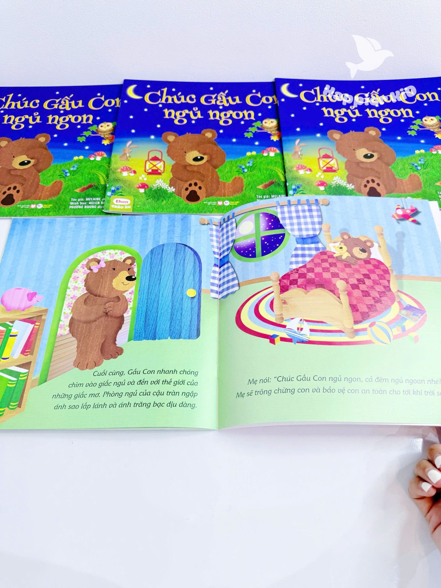  EHON Châu Âu - CHÚC GẤU NGỦ NGON! 