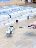  Lắp ráp chó robot thông minh, Đồ chơi giáo dục cho bé 8+ 