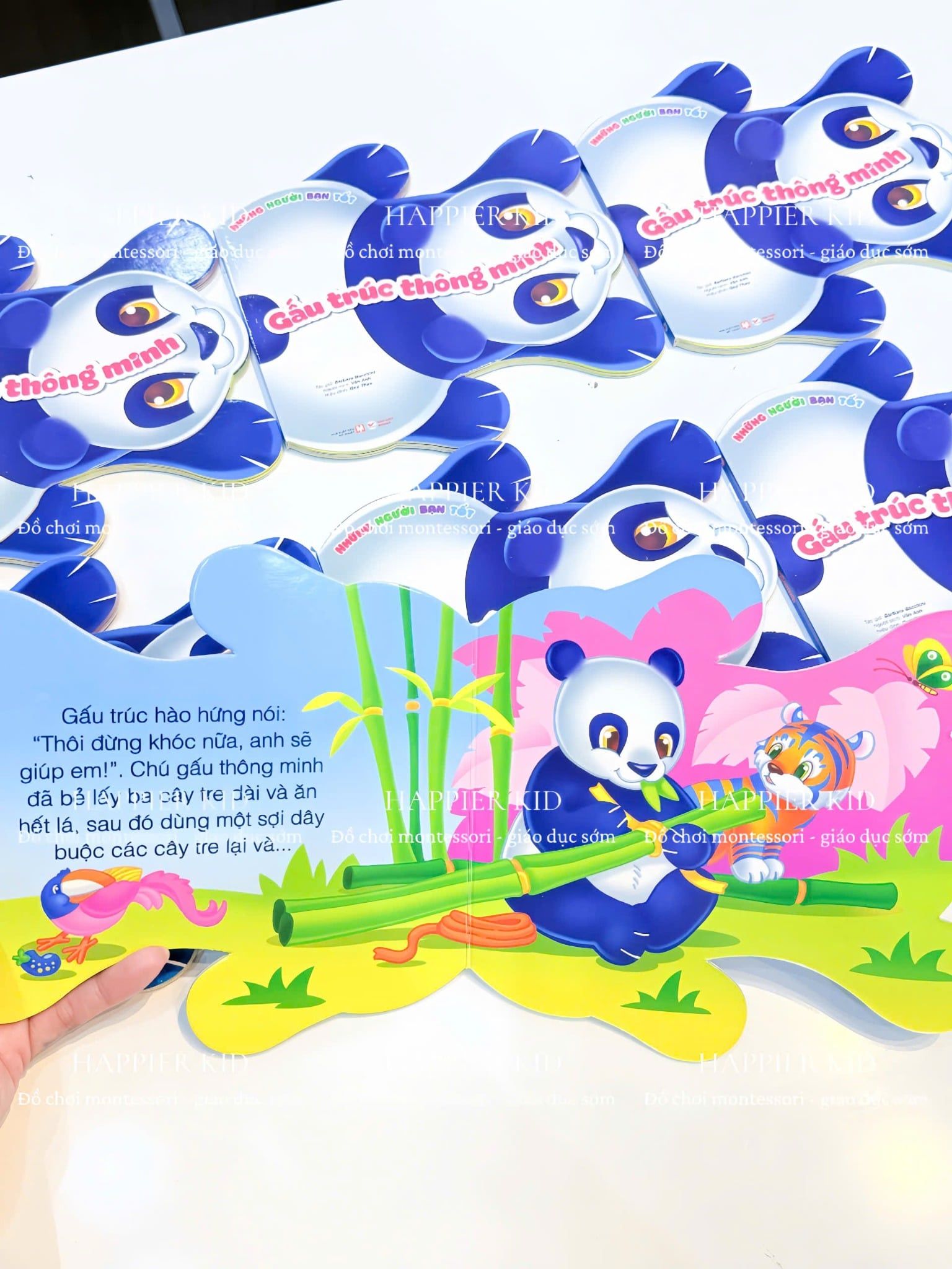  Những Người Bạn Tốt - Gấu Trúc Thông Minh 