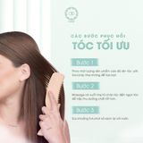  COMBO DƯỠNG TÓC THUẦN CHAY - Hũ Dầu Dừa Nấu Thủ Công APG ECO và DẦU GỘI OHDEP chiết xuất từ tinh dầu đàn hương 350ML 