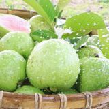  Combo 4kg Ổi ruby ruột đỏ - Tiêu chuẩn VietGap - Giao HCM (cũ) 