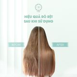  COMBO DƯỠNG TÓC THUẦN CHAY - Hũ Dầu Dừa Nấu Thủ Công APG ECO và DẦU GỘI OHDEP chiết xuất từ tinh dầu đàn hương 350ML 