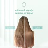  COMBO DƯỠNG TÓC THUẦN CHAY - Dầu Dừa Nấu Thủ Công APG ECO và DẦU GỘI OHDEP chiết xuất từ tinh dầu đàn hương 350ML 