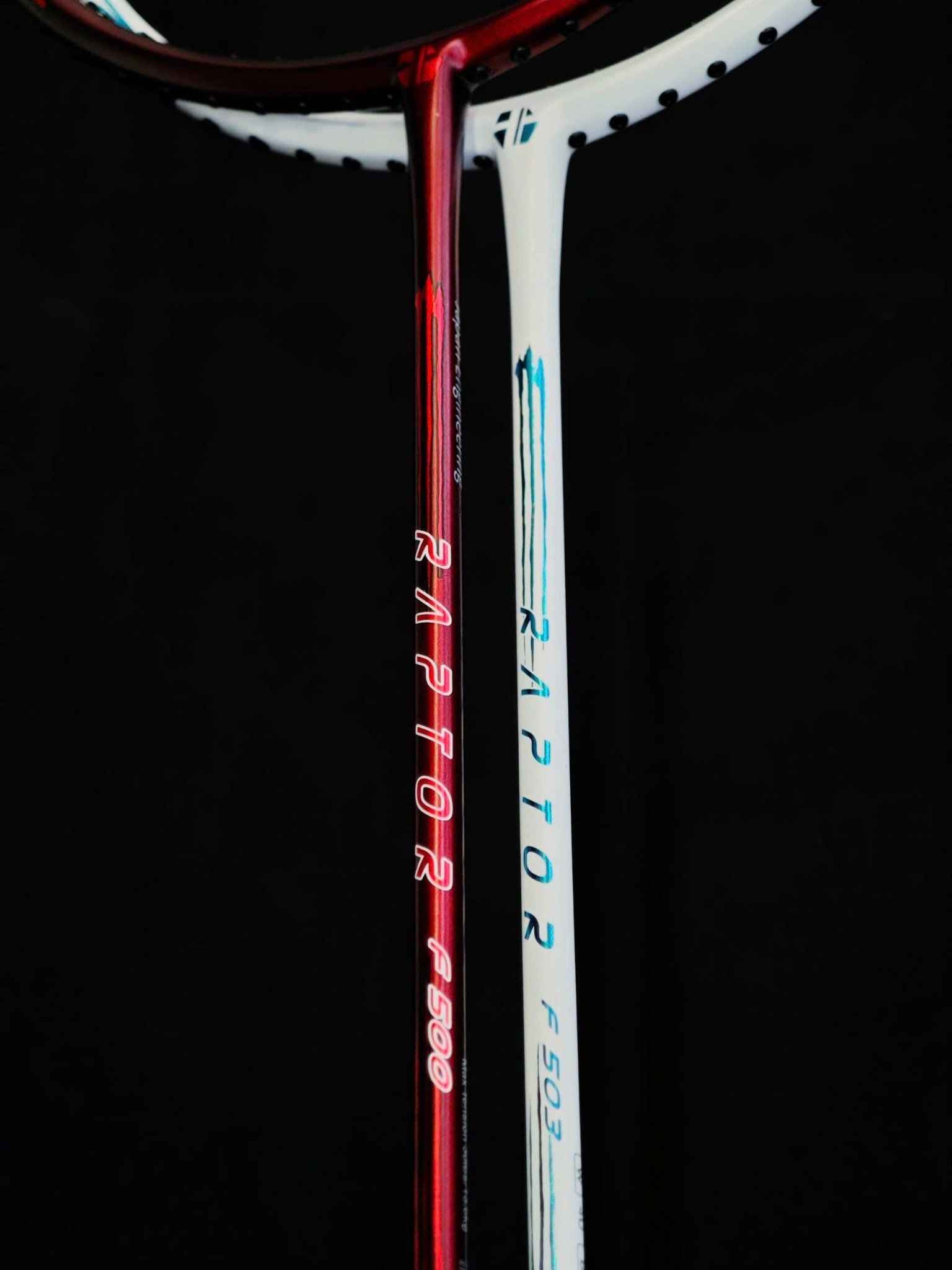 VỢT TOALSON RAPTOR 2025 – Dũng Sport