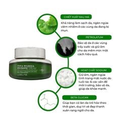 Kem Dưỡng Ẩm Lebelage Cica Madecassoside Cream 55ml