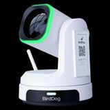  BirdDog X1 & X1 Ultra – Giải pháp camera PTZ AI toàn diện cho livestream & hội nghị hiện đại 