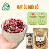  Hạt óc chó đỏ dinh dưỡng nhập khẩu - Nông sản sạch Daklak 