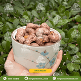  Hạt điều rang muối nguyên vỏ lụa A cồ - Nông sản sạch Daklak 