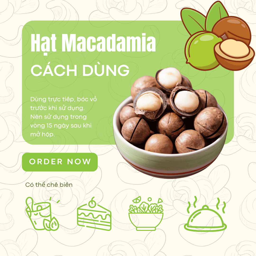  Hạt macca sấy nứt vỏ Daklak (Macadamia) - Nông sản sạch Daklak 