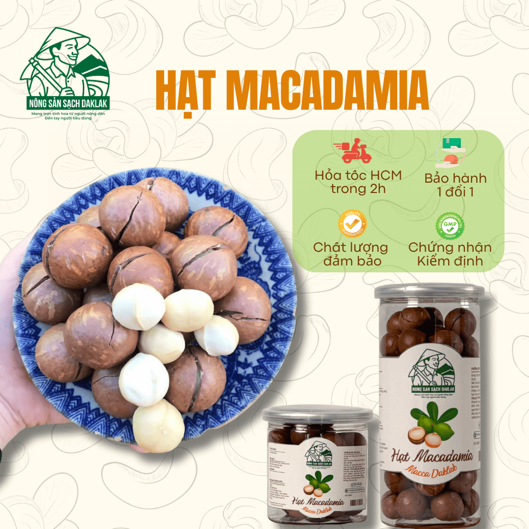  Hạt macca sấy nứt vỏ Daklak (Macadamia) - Nông sản sạch Daklak 