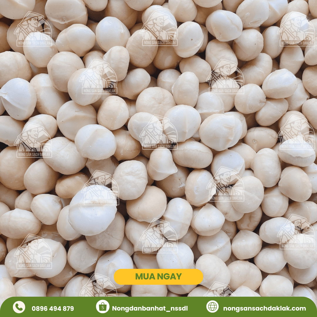  Hạt macca sấy nứt vỏ Daklak (Macadamia) - Nông sản sạch Daklak 