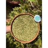  Nhân Hạt Bí Xanh Tách Vỏ Ấn Độ Sấy Giòn Nguyên Vị Hạt To Đều Mẩy (500gram) - Nông sản sạch Daklak 