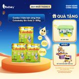  [COMBO 3 LON] Sữa bột Colobaby Bio Gold 2+ 800g có chứa sữa non hỗ trợ cải thiện hệ tiêu hóa khỏe mạnh - VitaDairy 