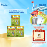  Combo 3 Sữa bột Colobaby Bio Gold 2+ 800g có chứa sữa non hỗ trợ cải thiện hệ tiêu hóa khỏe mạnh - VitaDairy 