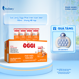  Sữa uống dinh dưỡng Oggi Phát triển toàn diện 110ml - Thùng 48 hộp - VitaDairy 