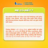 Sữa bột Colos DHA+ 0+ Lon 800g – Bổ sung dinh dưỡng, hỗ trợ phát triển trí não 
