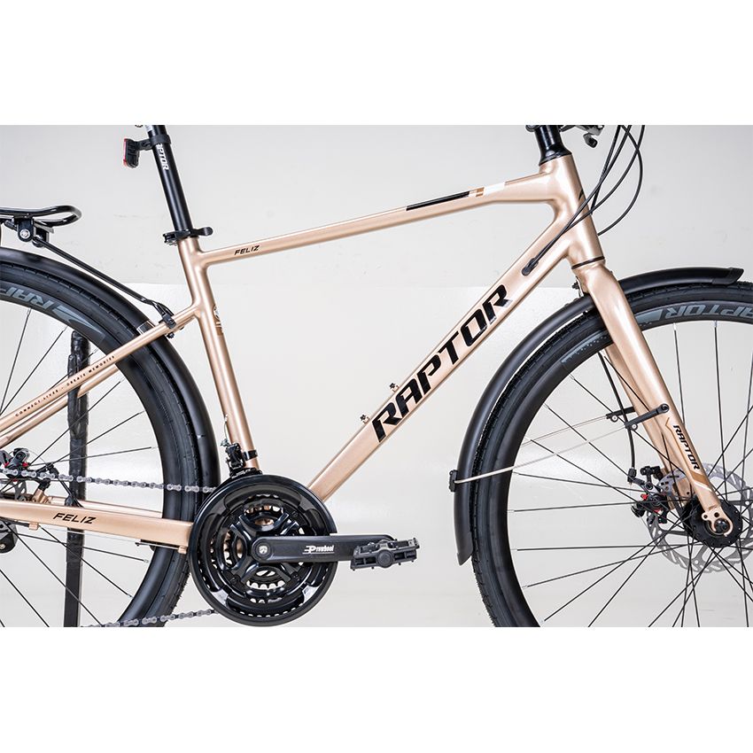 Xe Đạp Đường Phố Touring RAPTOR Feliz 2B - Phanh Đĩa, Bánh 700C