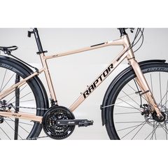 Xe Đạp Đường Phố Touring RAPTOR Feliz 2B - Phanh Đĩa, Bánh 700C