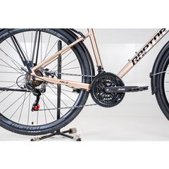 Xe Đạp Đường Phố Touring RAPTOR Feliz 2B - Phanh Đĩa, Bánh 700C