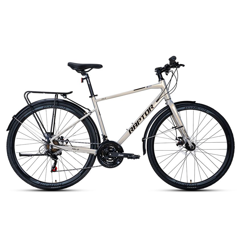 Xe Đạp Đường Phố Touring RAPTOR Feliz 2B - Phanh Đĩa, Bánh 700C
