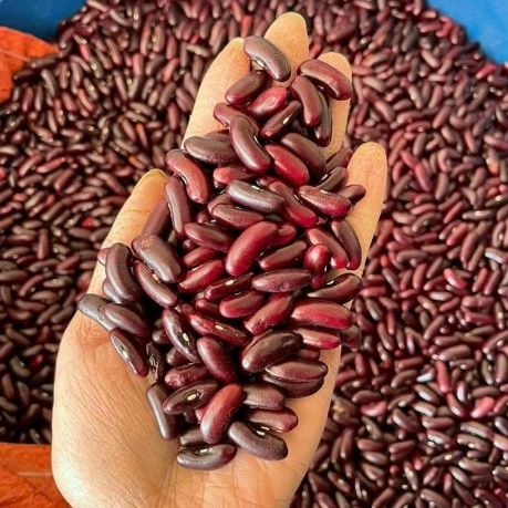  Đậu đỏ nương Tủa Chùa (hạt nhỏ) túi 500gr 