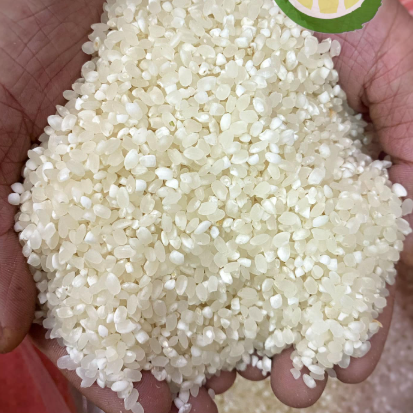  Gạo nếp Tú Lệ Yên Bái túi 1kg 