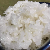  Gạo nếp Tú Lệ Yên Bái túi 1kg 