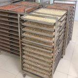  Hạt điều sữa (sấy chín, ăn liền) hộp 500gr 