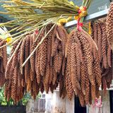  Hạt kê nếp Nghệ An túi 300gr 