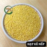  Hạt kê nếp Nghệ An túi 500gr 